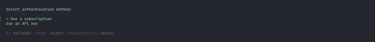 A real Vinci Code authentication prompt with subscription and API-key options.